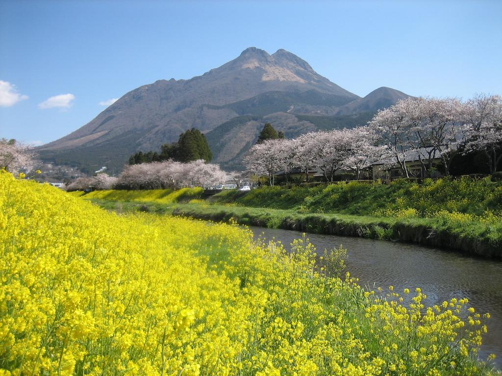 Yufuin Onsen Hasuwa Inn Εξωτερικό φωτογραφία